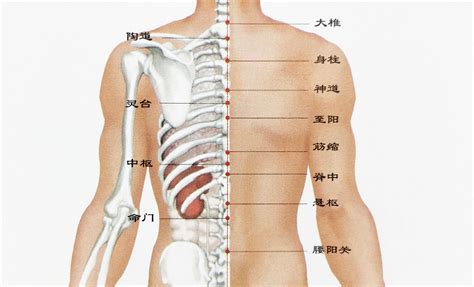 脊椎上有痣|后背不同位置的痣各有什么含义？